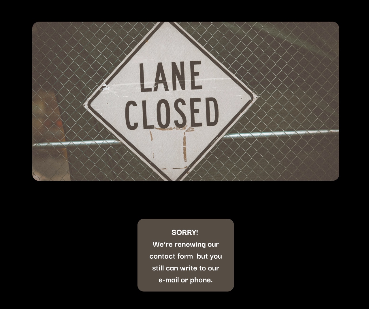 Sorry, a bird took this picture away